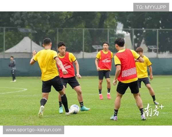 俱乐部开放日互动，球迷忠诚度培养